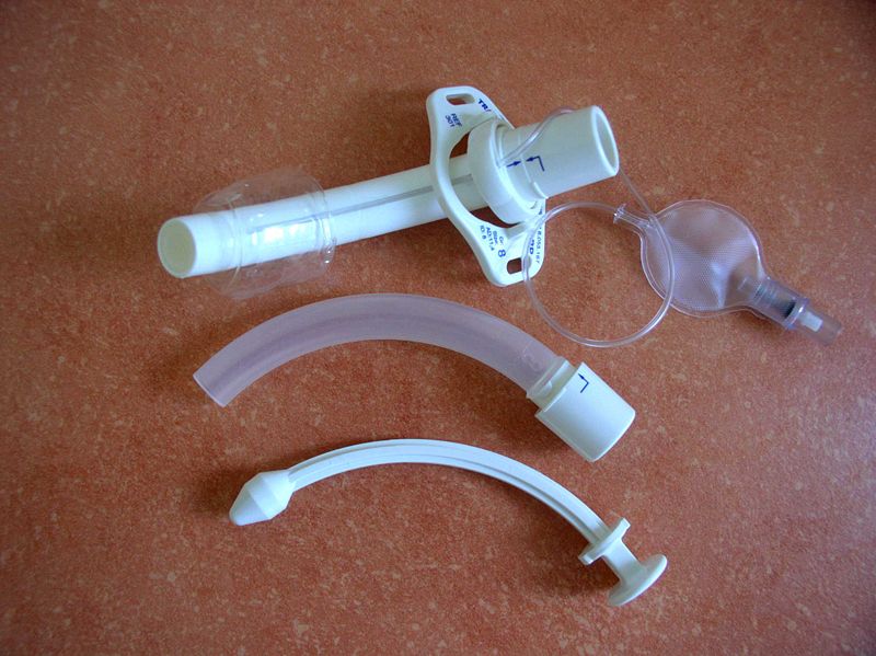 Tracheostomy tube with cuff and pilot balloon, a curved inner cannula, and an obturator with a rounded tip