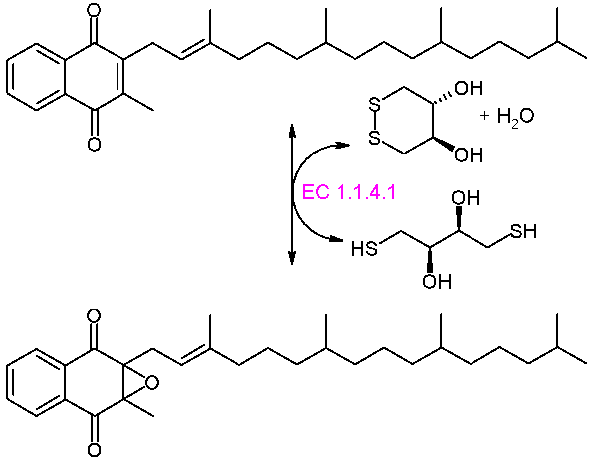 Vitamin K quinone and vitamin K epoxide interconversion by the warfarin-sensitive vitamin K epoxide reductase (VKOR, EC 1.1.4.1) with a dithiol reductant; warfarin blocks VKOR