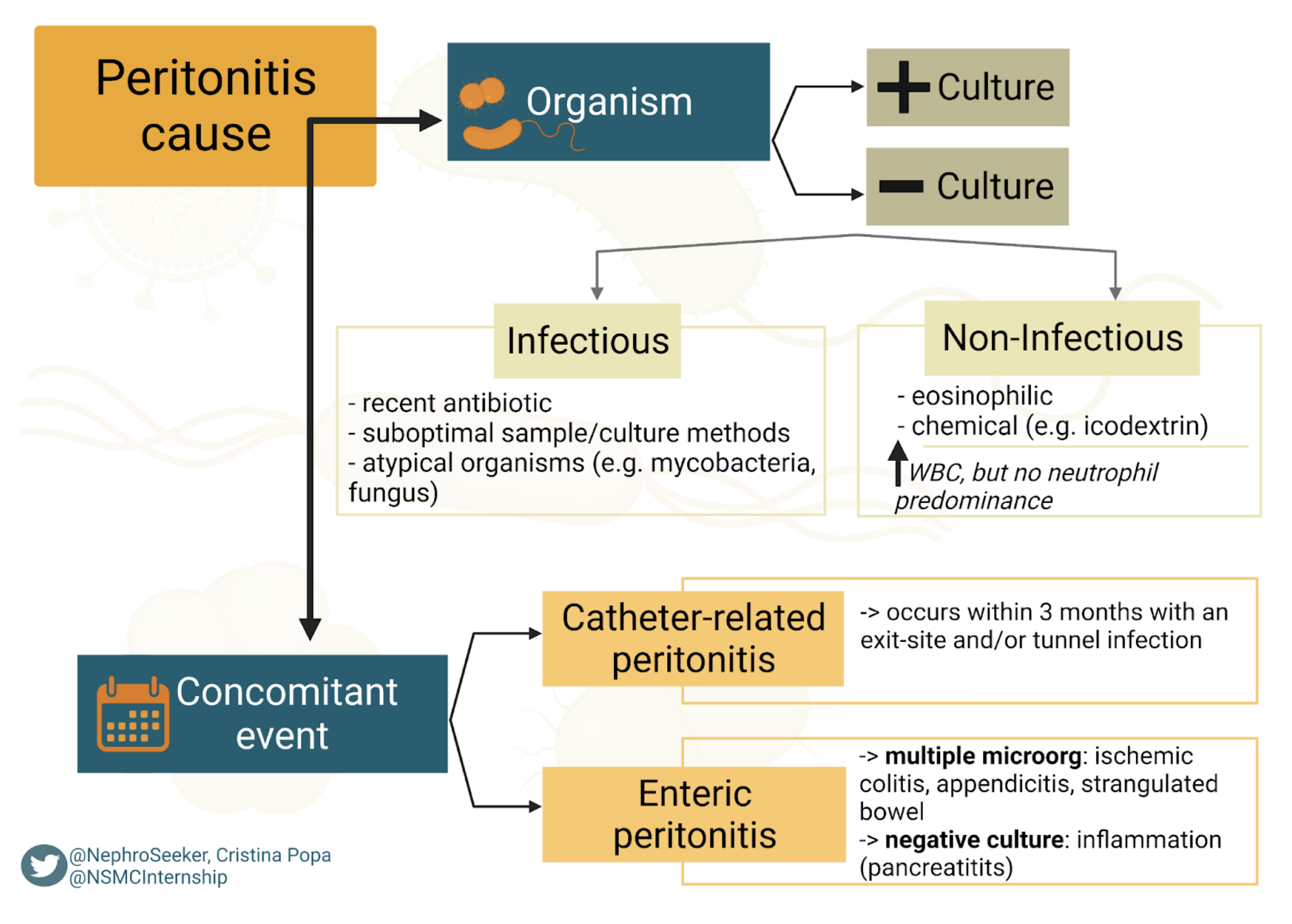 Algorithm for diagnosis and management of PD-associated peritonitis based on ISPD guidelines